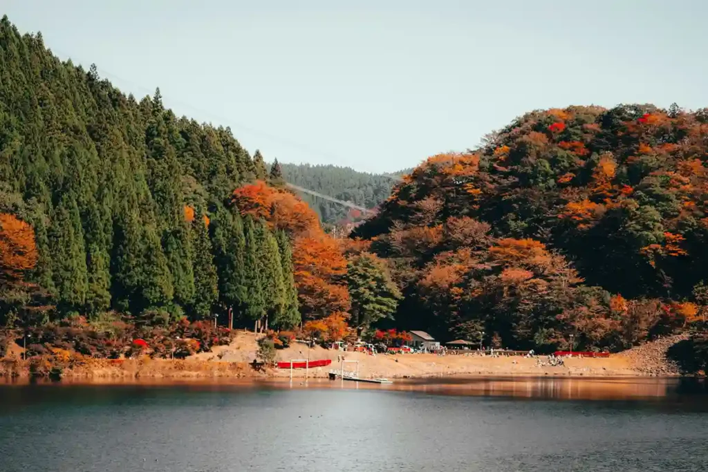 Calm lake bordered by tall cedars and orange maples, small boats and cabins along a sunlit autumn shoreline in rural Japan.