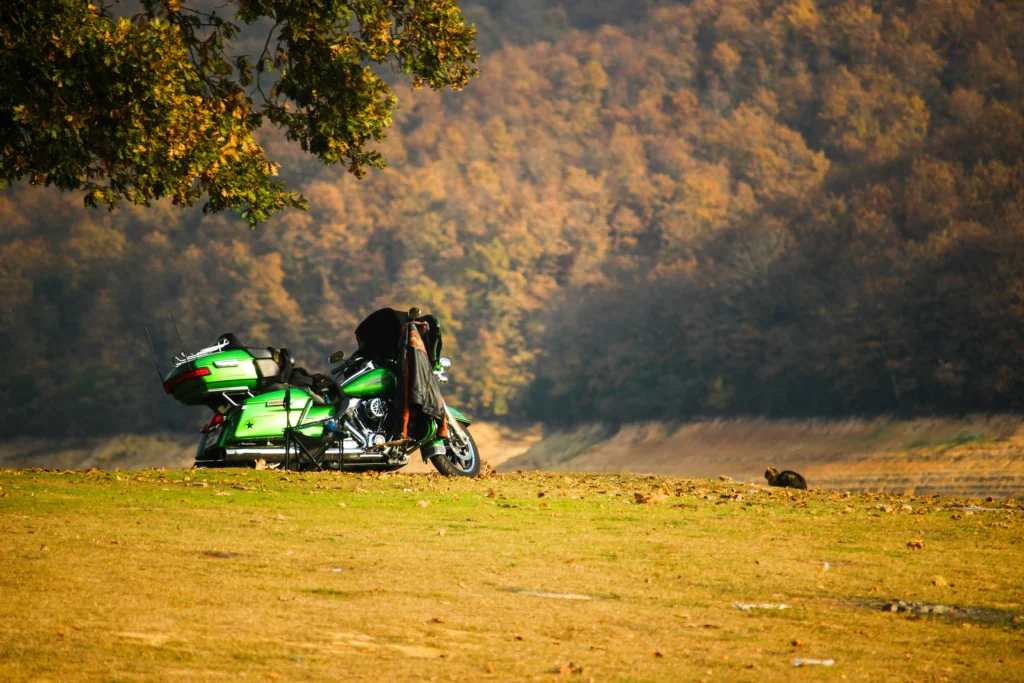Green touring motorcycle on grassy bluff under a tree, loaded panniers; autumn hillside forest beyond, cat at right edge.