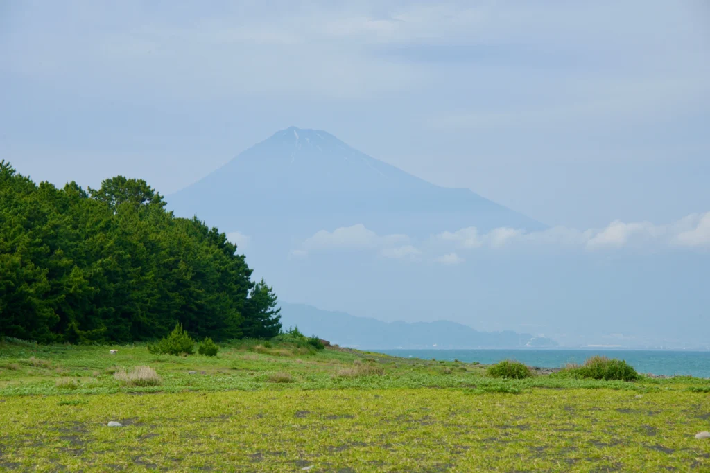 Peaceful coastal scene on Shizuoka’s Miho no Matsubara, where a pine grove and surf frame a soft, distant view of Mount Fuji—ideal for unhurried seaside walks.