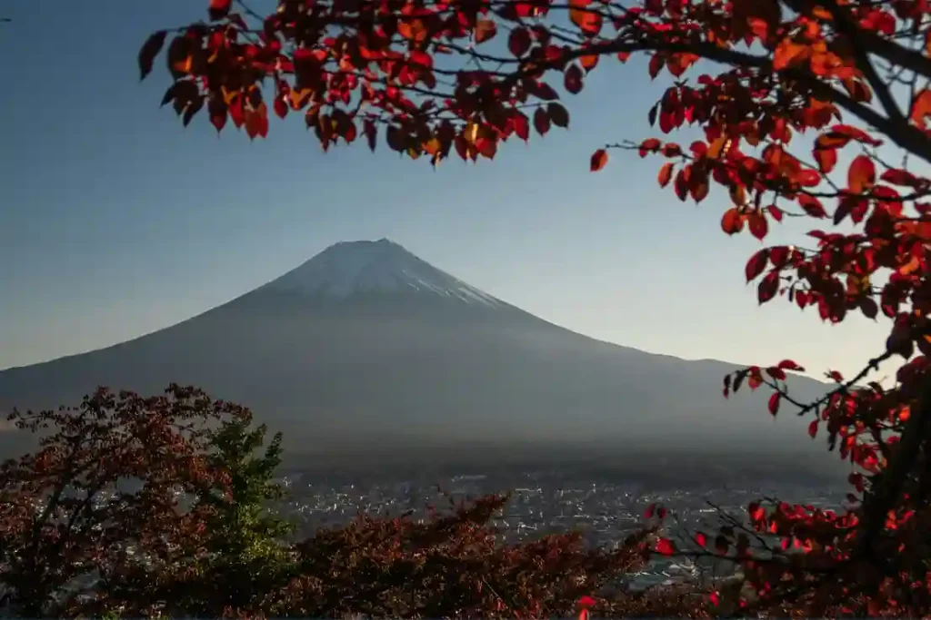 Mount Fuji under a clear sky, distant town below, framed by branches of red autumn leaves in the foreground.