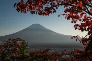 Mount Fuji under a clear sky, distant town below, framed by branches of red autumn leaves in the foreground.
