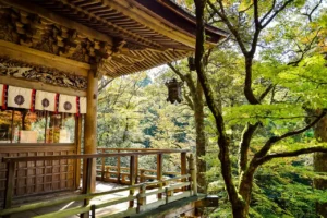 Discover the peaceful charm of Japan’s forest temples, where wooden architecture and nature blend in perfect harmony.