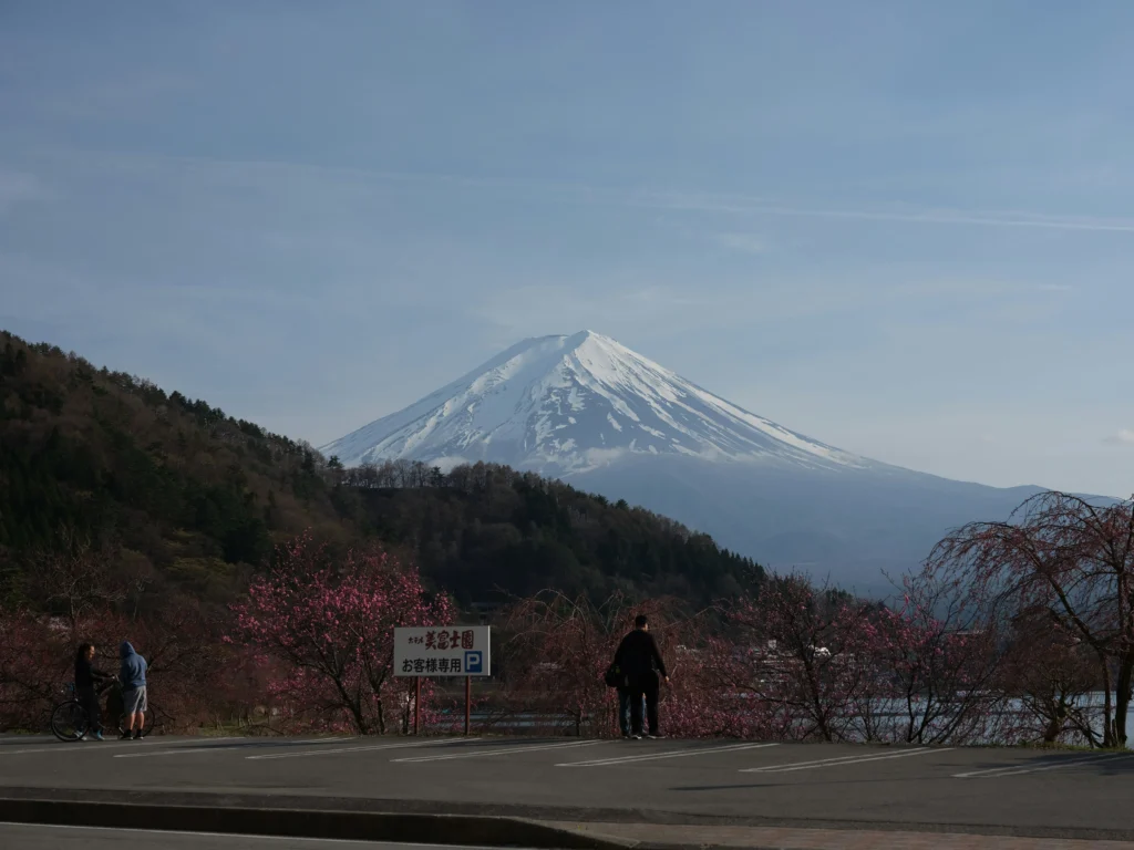 Lakeside parking area with a few visitors and early cherry blossoms; Mt. Fuji across the water
