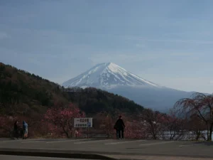 Lakeside parking area with a few visitors and early cherry blossoms; Mt. Fuji across the water