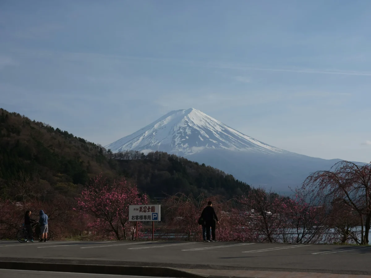 Lakeside parking area with a few visitors and early cherry blossoms; Mt. Fuji across the water
