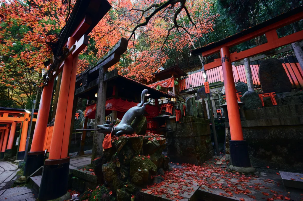Inner shrine path at Fushimi Inari surrounded by torii gates and autumn leaves